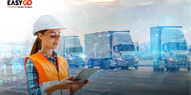 Peran TMS dalam Efisiensi Supply Chain