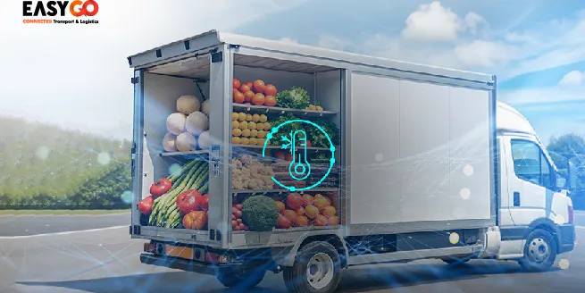 Optimalkan Cold Chain Logistics dengan TMS dan Sensor Suhu Kendaraan