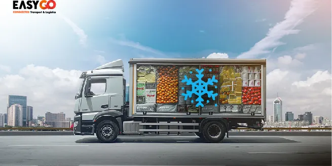Proyeksi Logistik Indonesia 2025: Tantangan Cold Chain & Solusi Inovatif