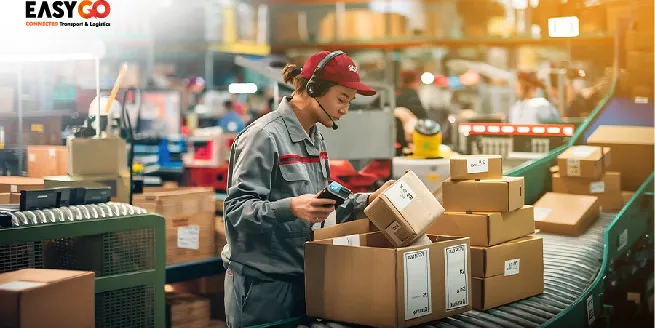 Menyortir Barang: Kunci Efisiensi dalam Manajemen Logistik Modern