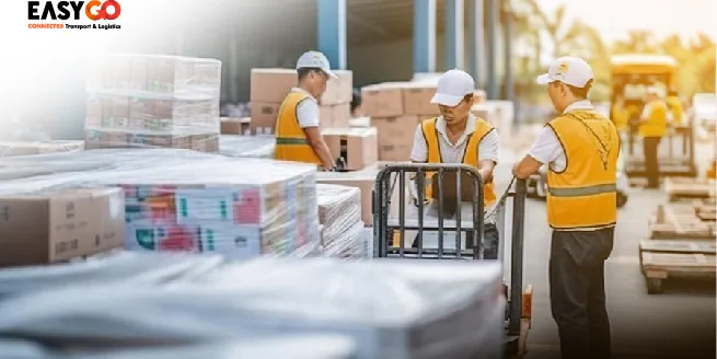 Apa Itu Sortir? Memahami Proses Penyortiran untuk Efisiensi dan Kualitas